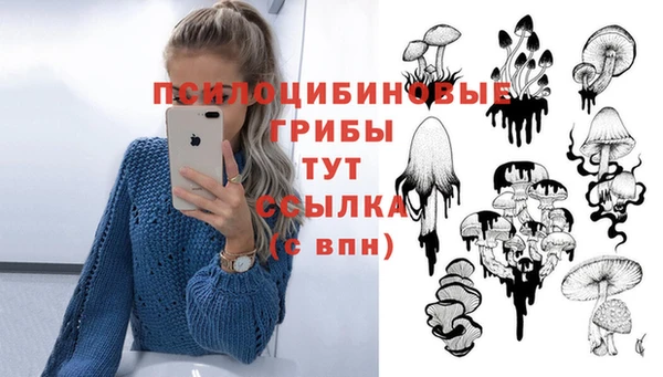 метамфетамин Армянск